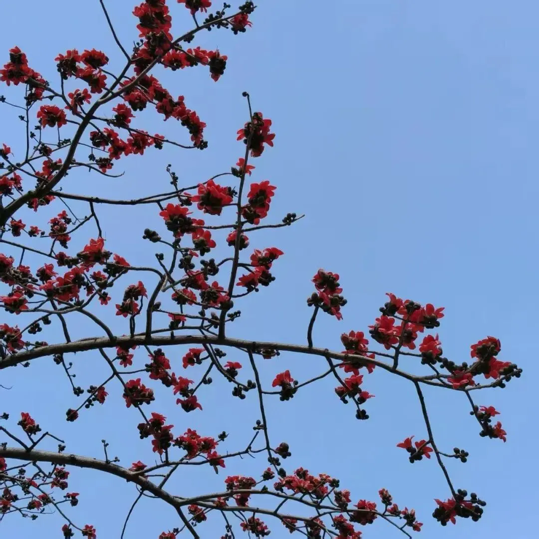 中考作文 让未来热气腾腾 第1张 中考作文 让未来热气腾腾 第1张