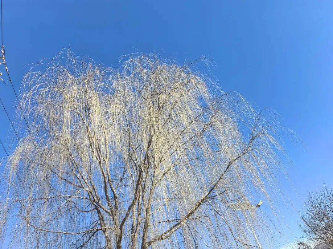 中考作文 让未来热气腾腾 第3张 中考作文 让未来热气腾腾 第3张