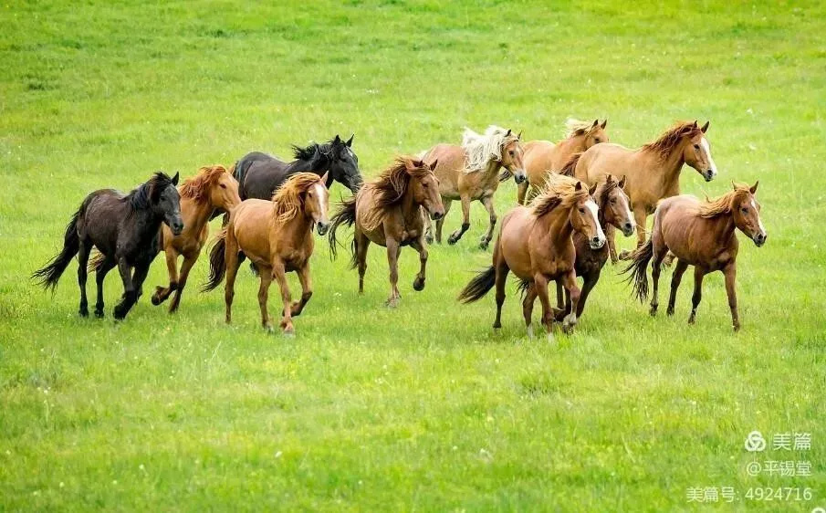 《体育中考冲刺:心理+必选项+自选项;完整打卡计划》按月+每周+每天;可打印 第1张