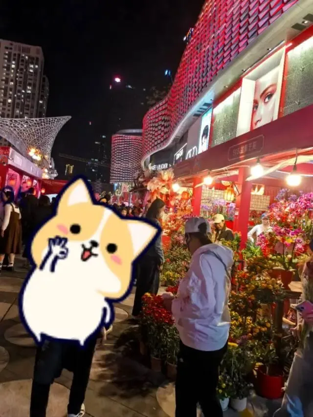 深圳中考娃的春节 第3张