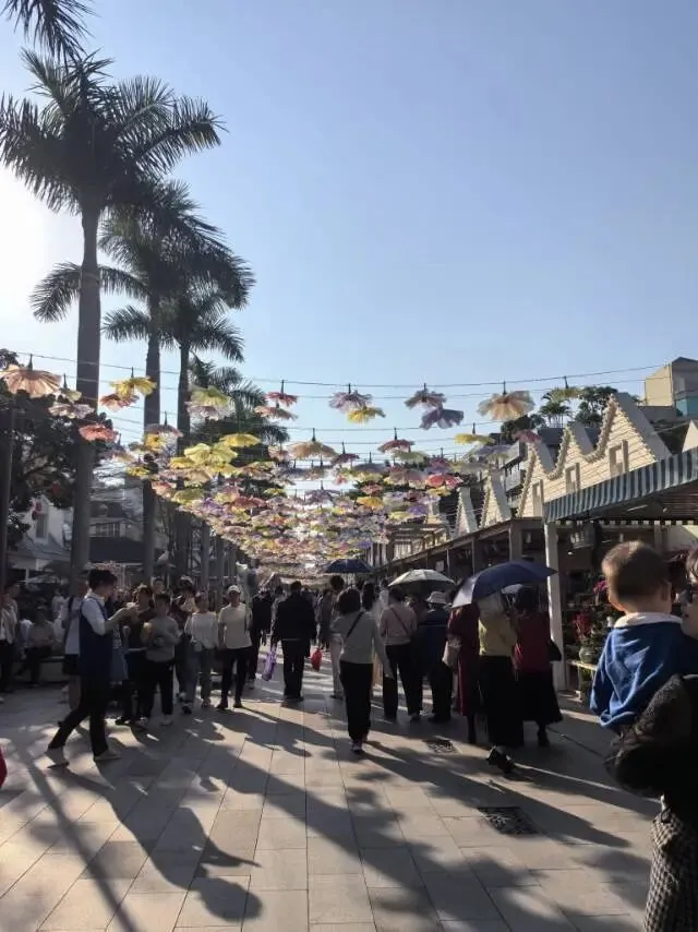 深圳中考娃的春节 第7张