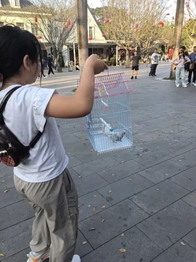 深圳中考娃的春节 第10张