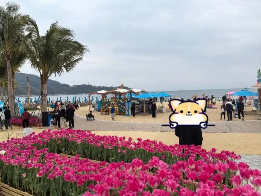 深圳中考娃的春节 第12张