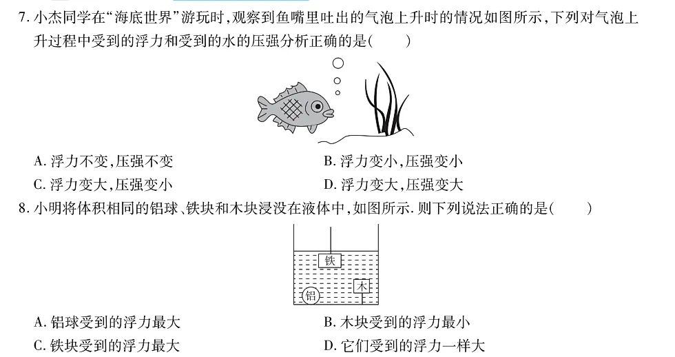 【开学一轮复习】5年5考!锁定中考物理必考点,直击得分点(第六期)! 第11张
