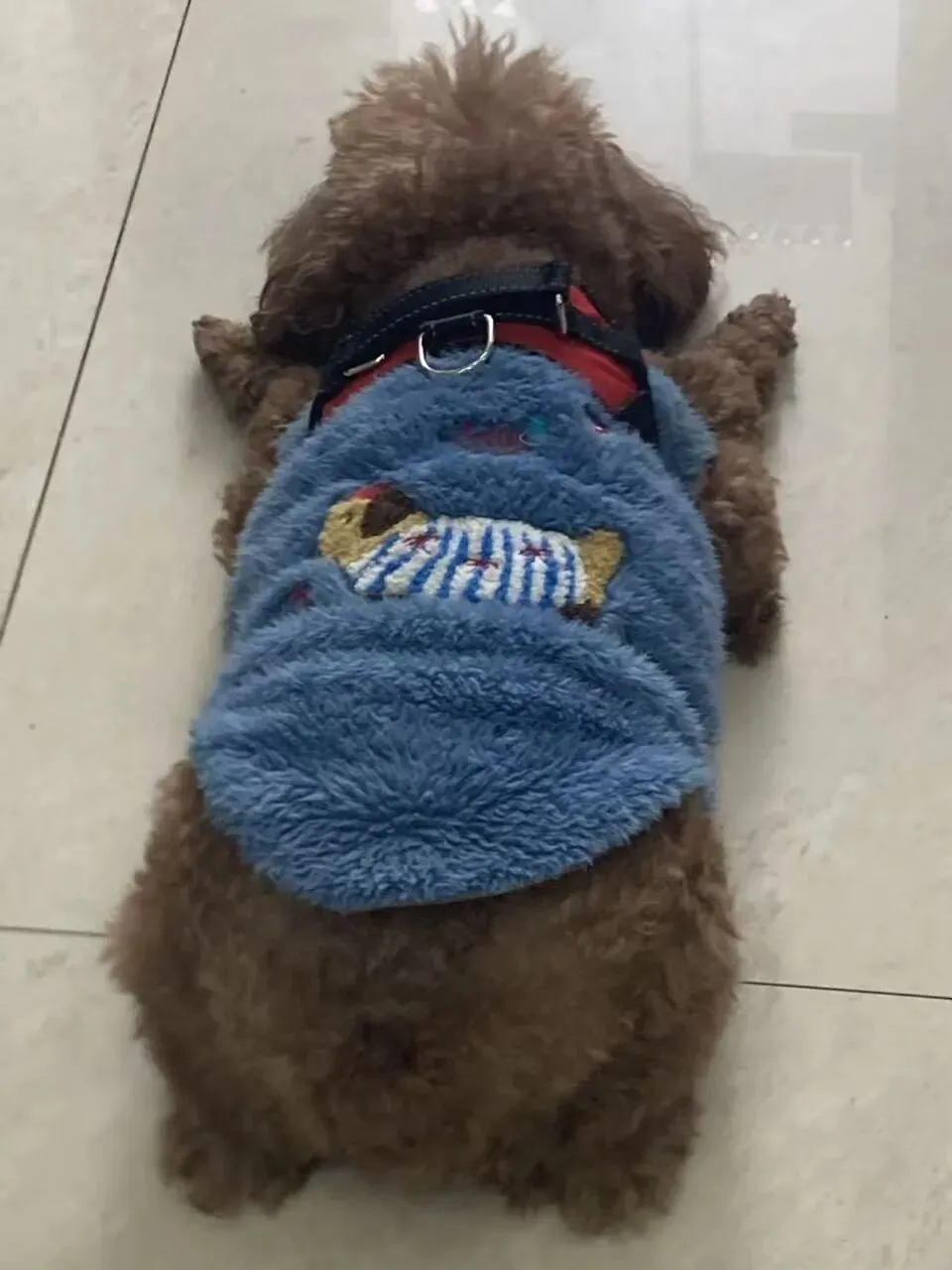 女儿中考倒计时119天—昨天刚夸完,今天又不想写作业了 第1张