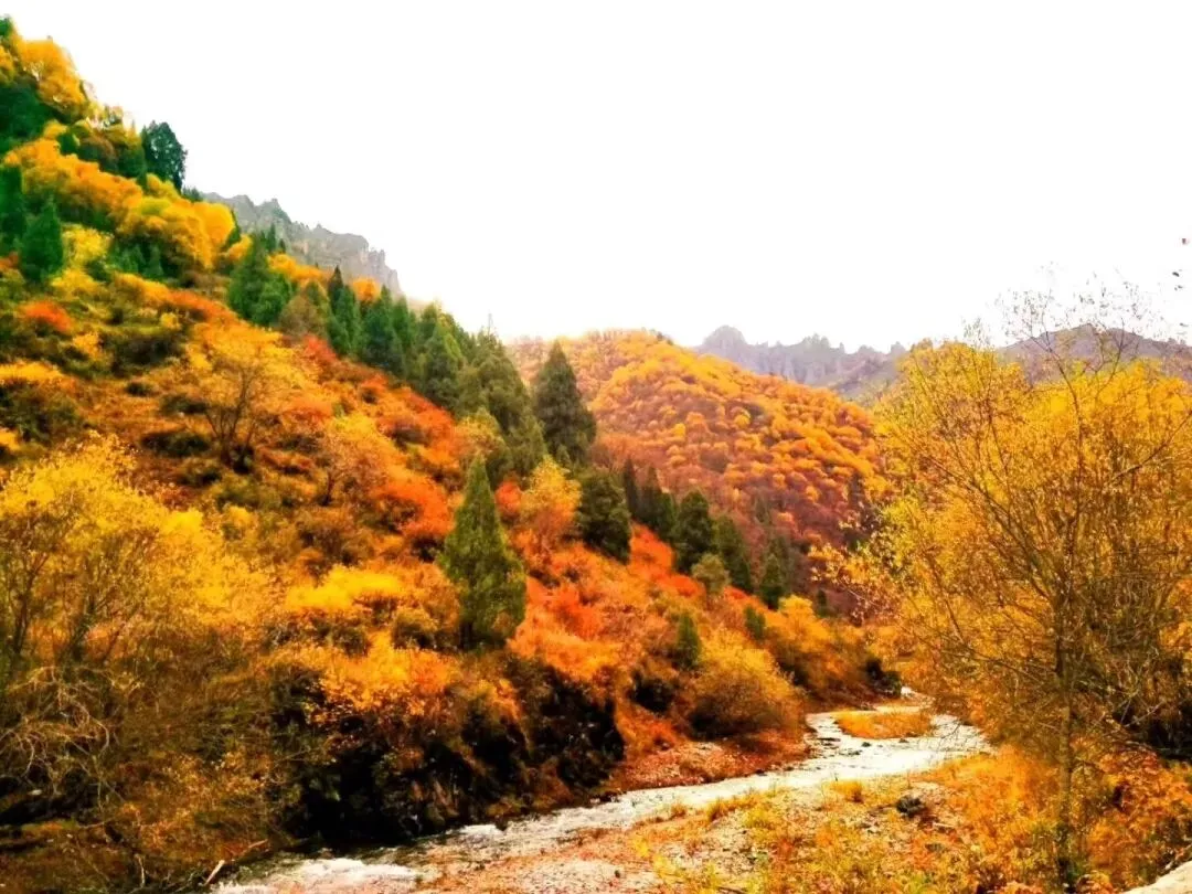 中考作文 发现身边美 第1张