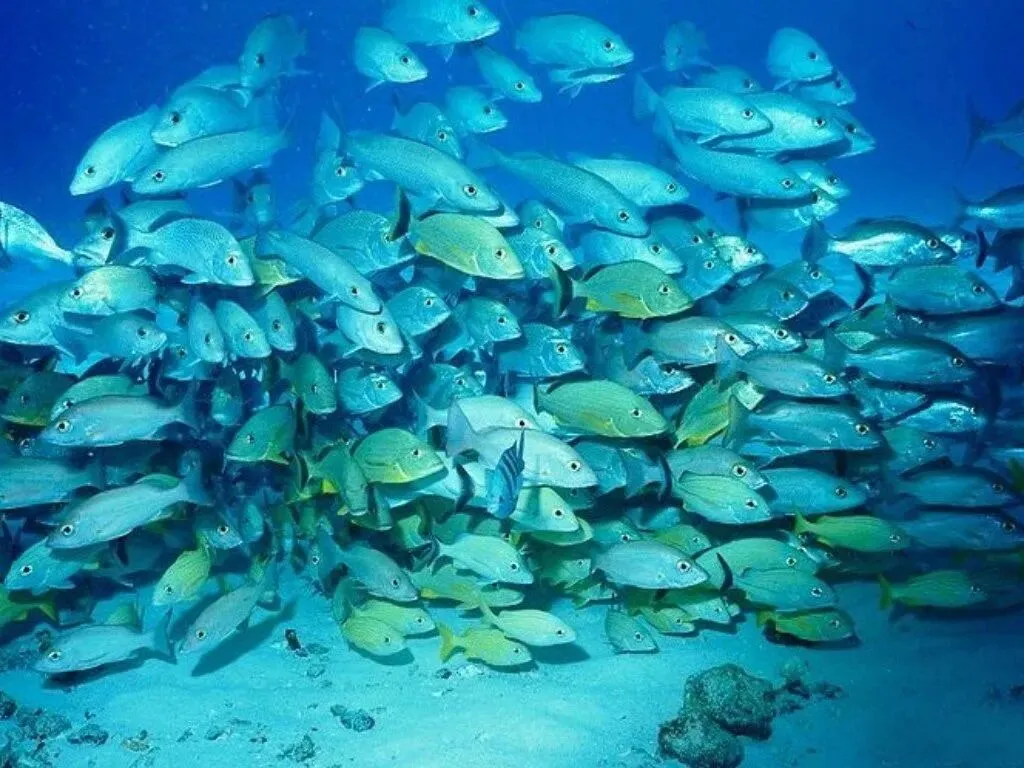 《西游记》中考文段赏析题(情节分类) 第1张