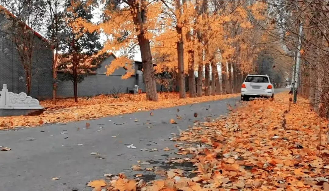 中考作文 发现身边美 第3张