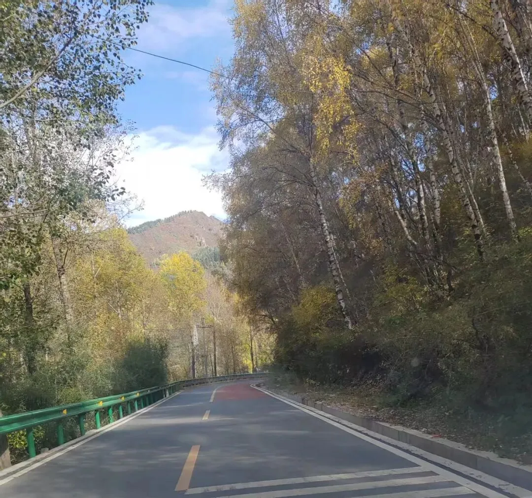 中考作文 发现身边美 第4张