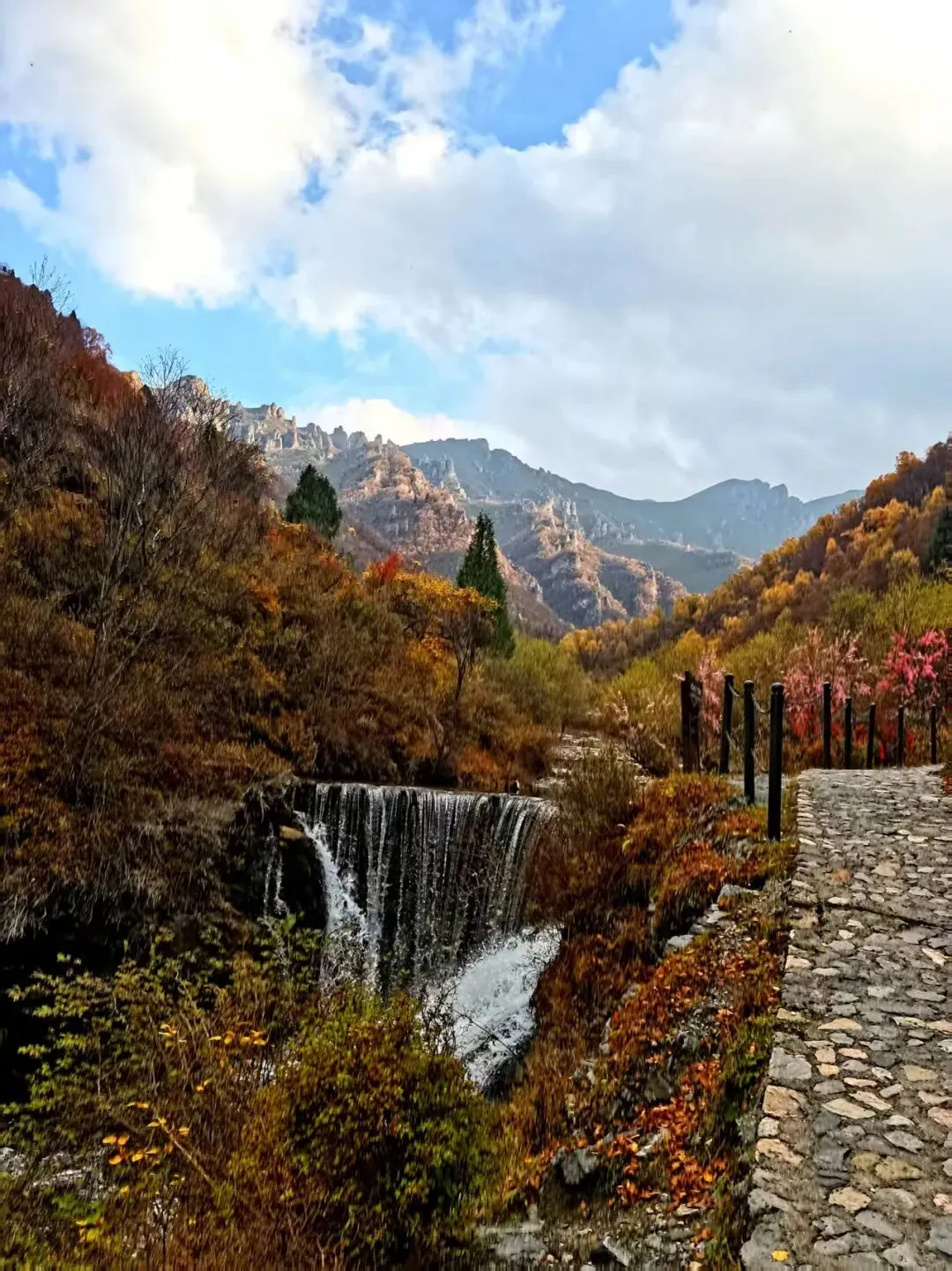 中考作文 发现身边美 第5张