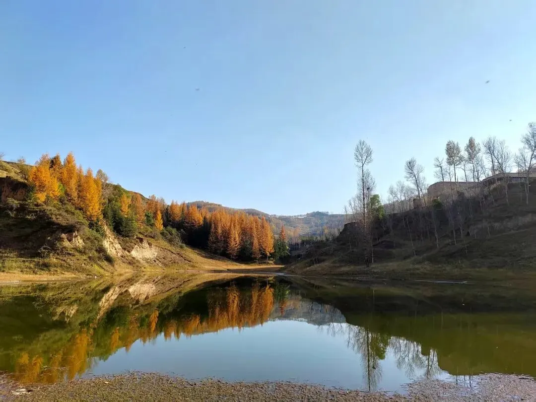 中考作文 发现身边美 第6张