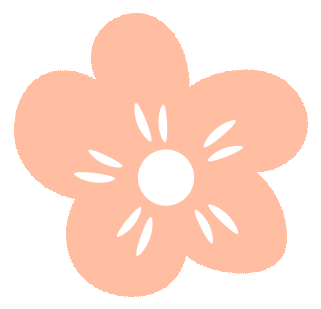 【2026版】中考数学提分必刷《名校压轴题》 第45张