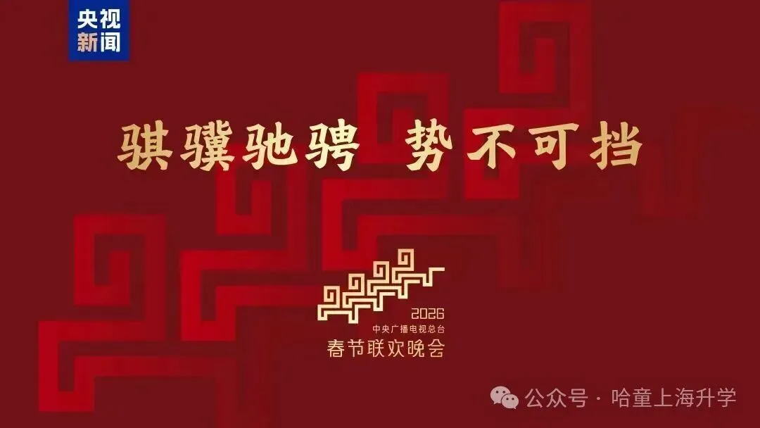 马年春晚中考考点 第1张