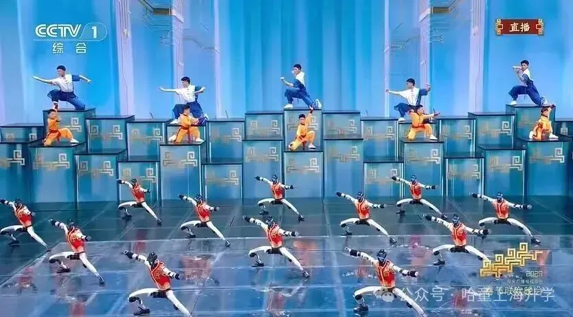 马年春晚中考考点 第2张