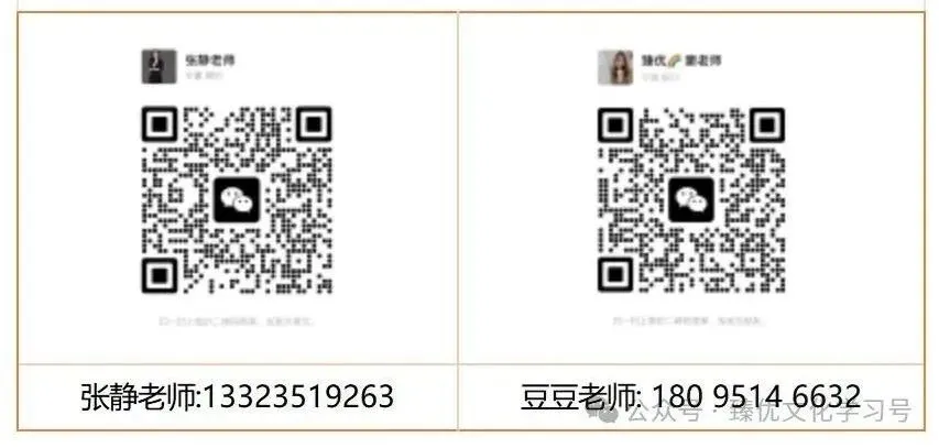 2026春晚的这些考点,宁夏中考会这样考 第12张