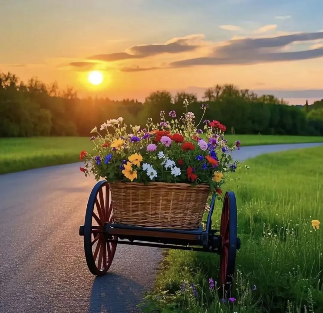 35.“一材多用”——2026年中考作文素材转换方法(一) 第1张 35.“一材多用”——2026年中考作文素材转换方法(一) 第1张