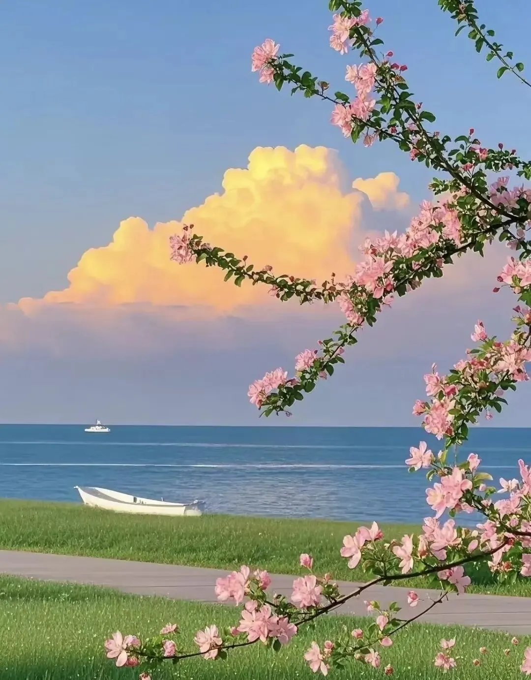 35.“一材多用”——2026年中考作文素材转换方法(一) 第5张 35.“一材多用”——2026年中考作文素材转换方法(一) 第5张