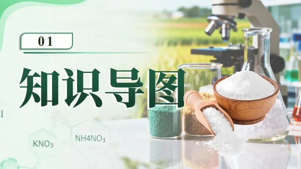 中考化学专题复习 | 专题八《盐和化肥》课件+配套教学设计 第10张