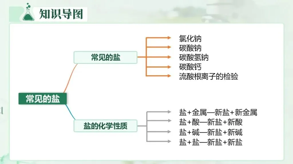 中考化学专题复习 | 专题八《盐和化肥》课件+配套教学设计 第11张
