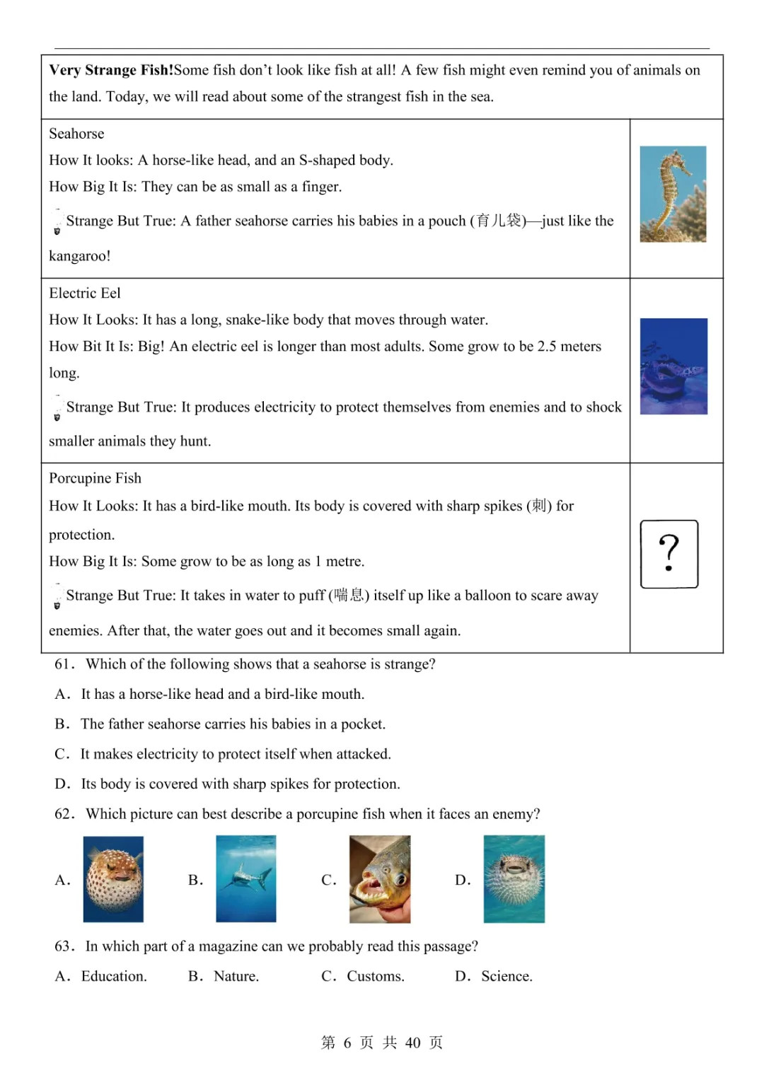 2025中考英语押题预测卷(全国卷) 第12张 2025中考英语押题预测卷(全国卷) 第12张