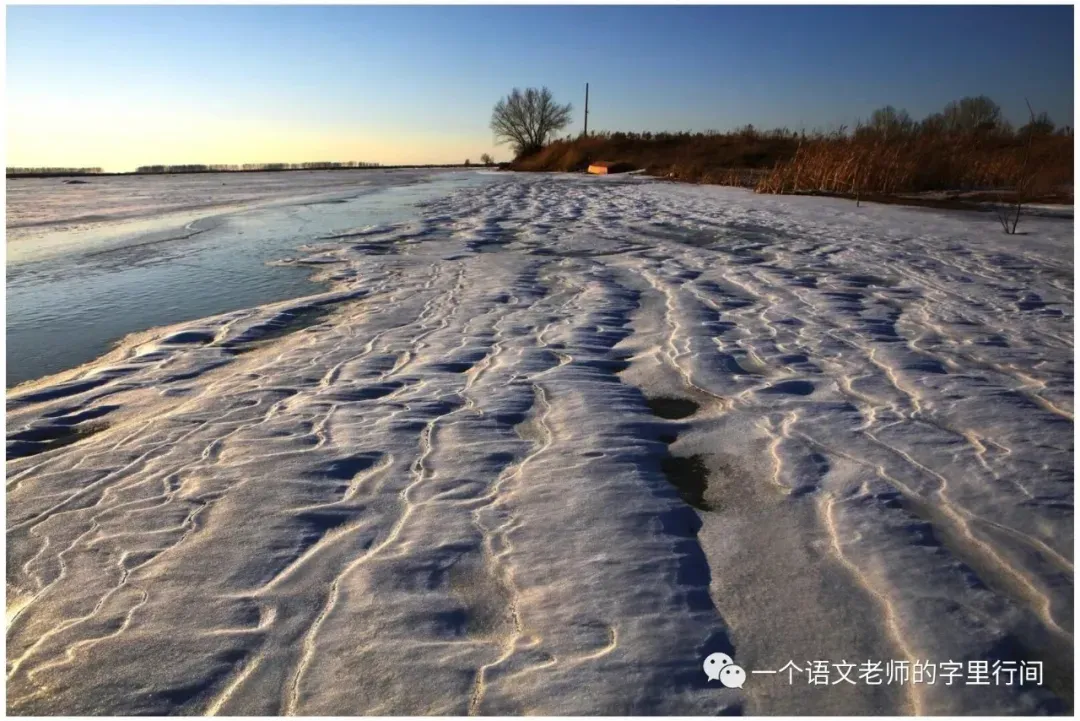万唯中考(陕西教辅)︱《野树》 第2张