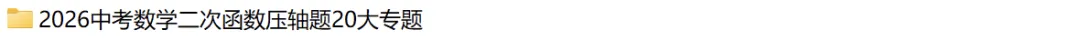 2026年中考数学二次函数压轴题20类 第23张