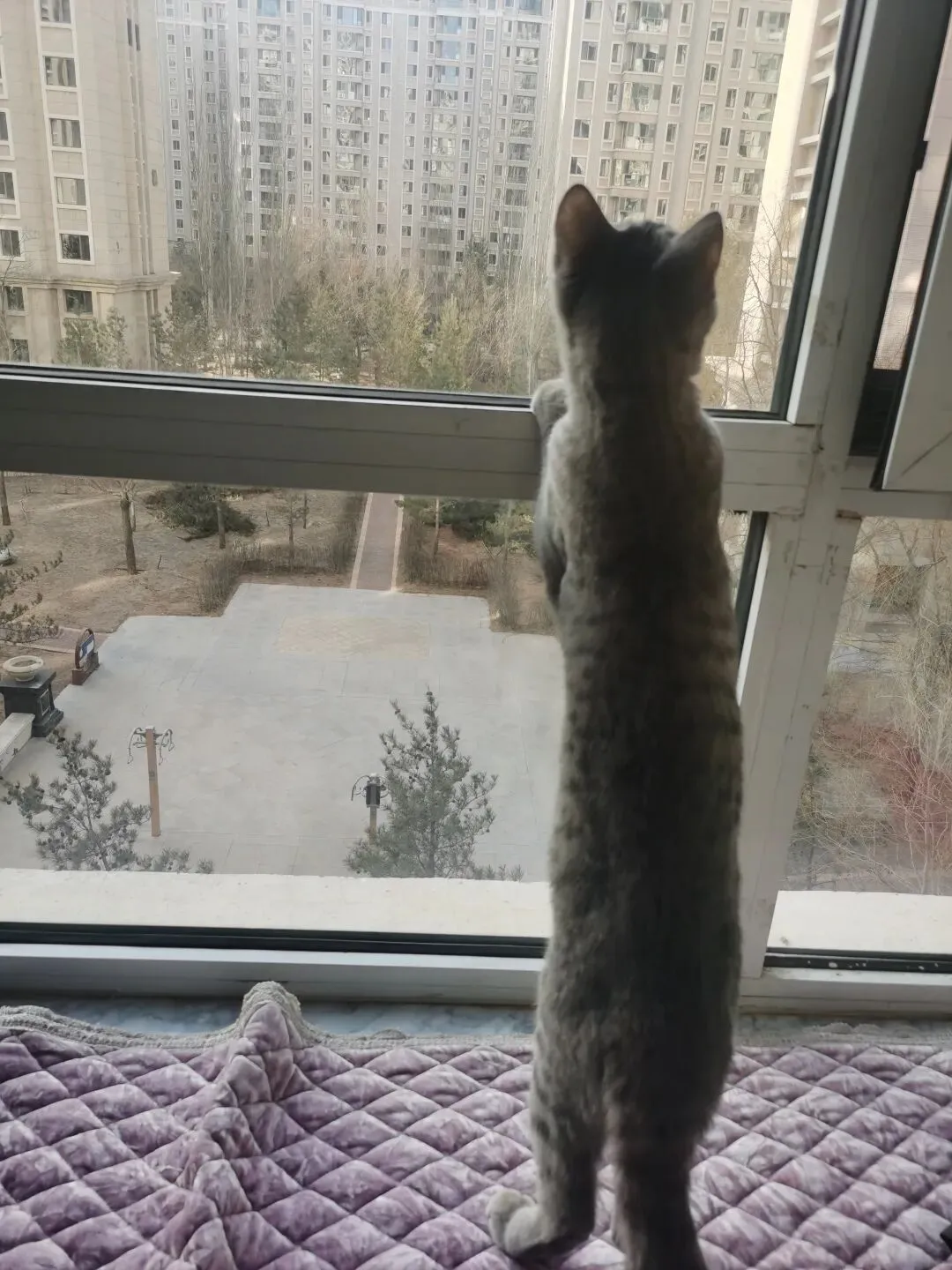 中考名著阅读复习策略 第1张