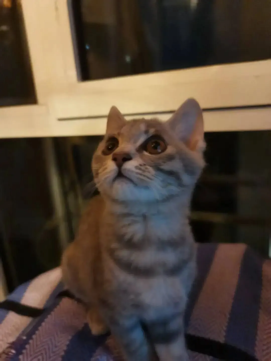 中考名著阅读复习策略 第2张