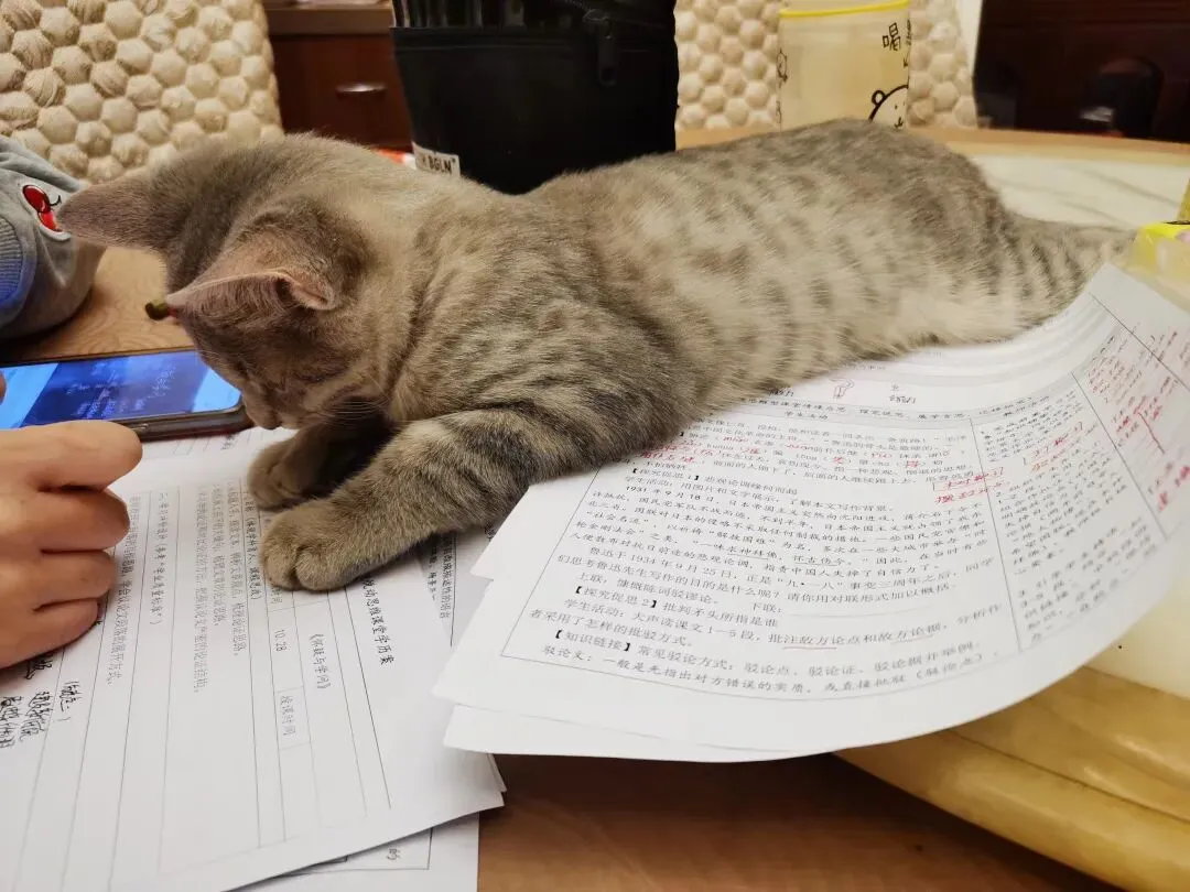 中考名著阅读复习策略 第3张