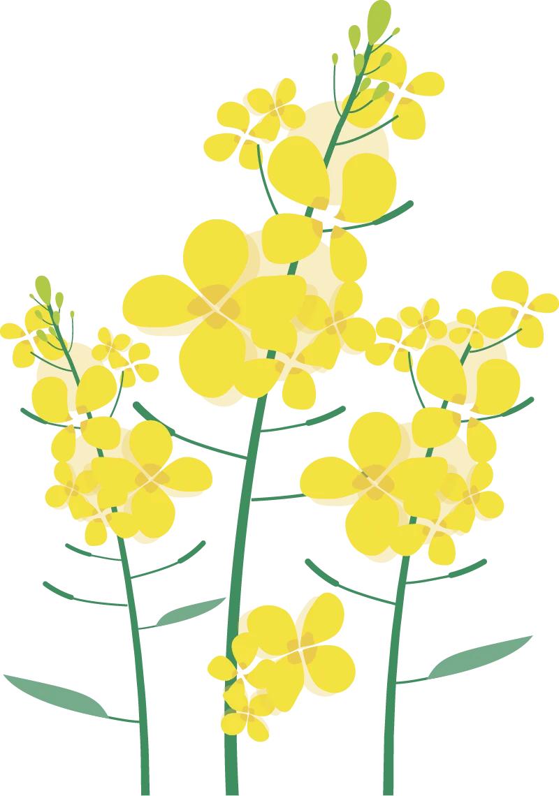 适配甘肃:简单一百中考生物综合验收试题精讲1 第9张