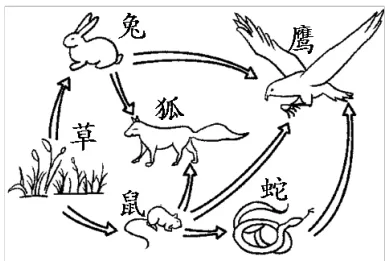 适配甘肃:简单一百中考生物综合验收试题精讲1 第18张