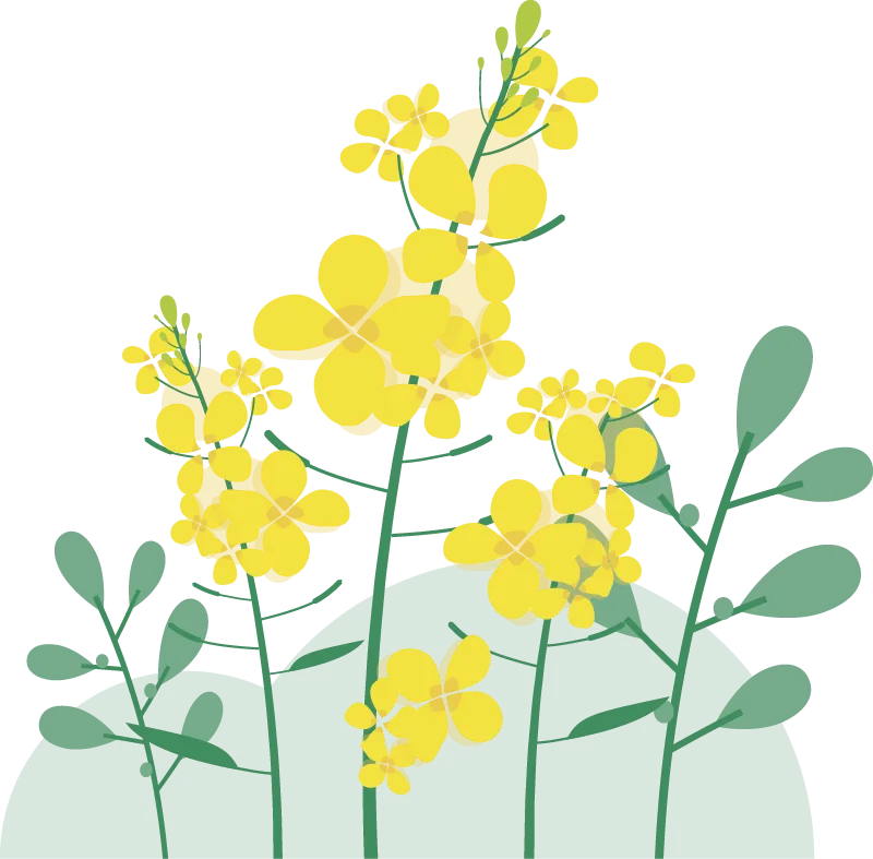 适配甘肃:简单一百中考生物综合验收试题精讲1 第20张