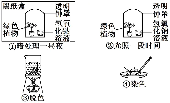 适配甘肃:简单一百中考生物综合验收试题精讲1 第30张