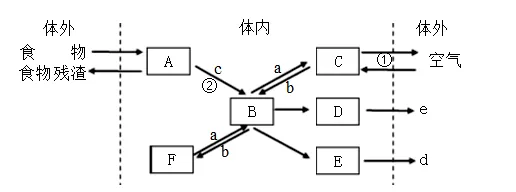 适配甘肃:简单一百中考生物综合验收试题精讲1 第39张