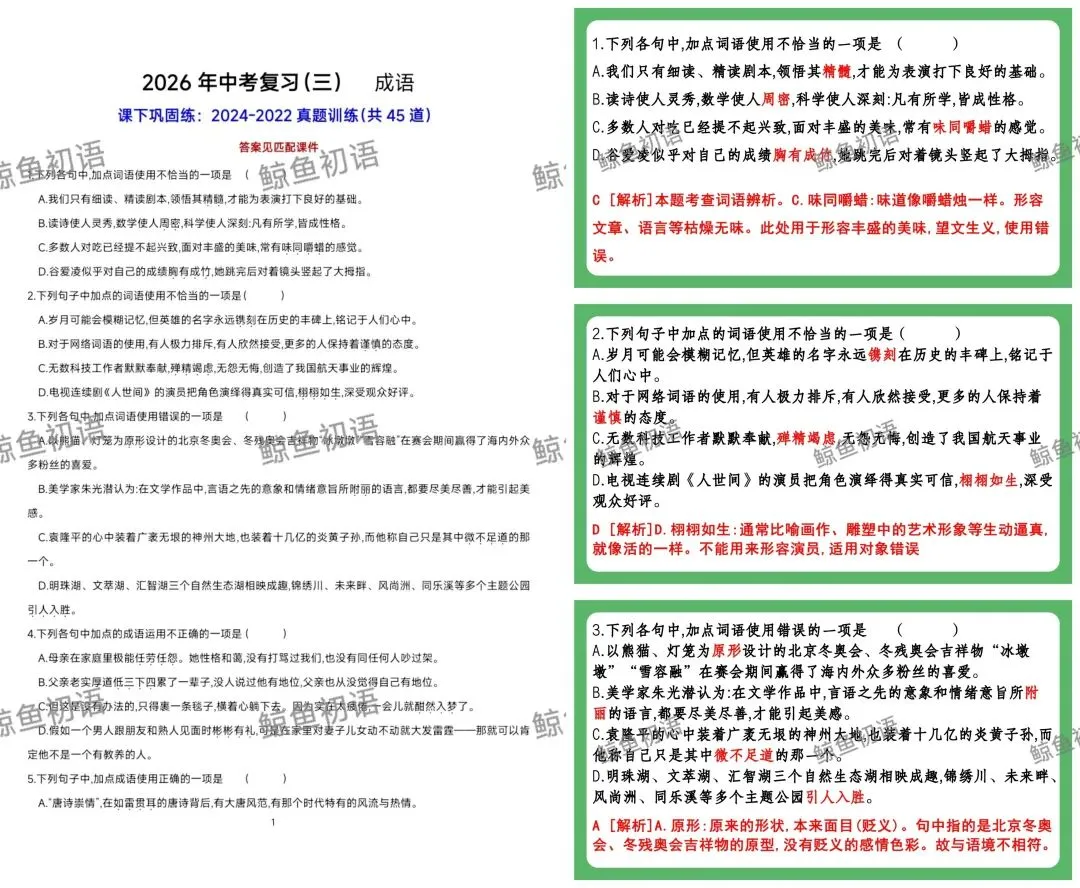 2026中考|专项复习(三)成语运用| 三轮集训攻破中考成语专项 第19张 2026中考|专项复习(三)成语运用| 三轮集训攻破中考成语专项 第19张