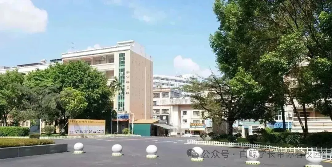 2026 惠州中考|惠东职业中学录取分数线参考 第47张