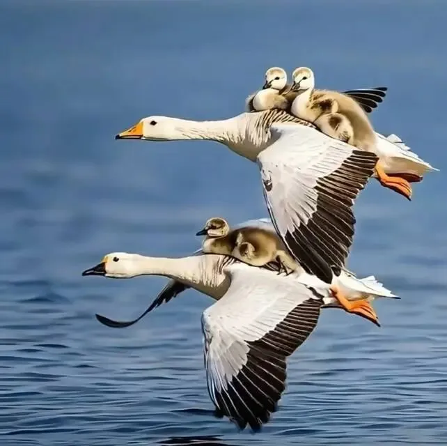 中考倒计时129天:发力正当时 第1张