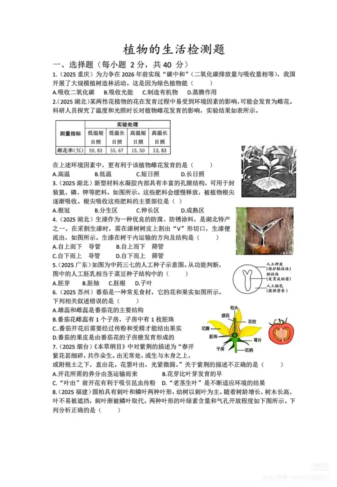 中考复习专题1-植物的生活检测题附答案 第1张