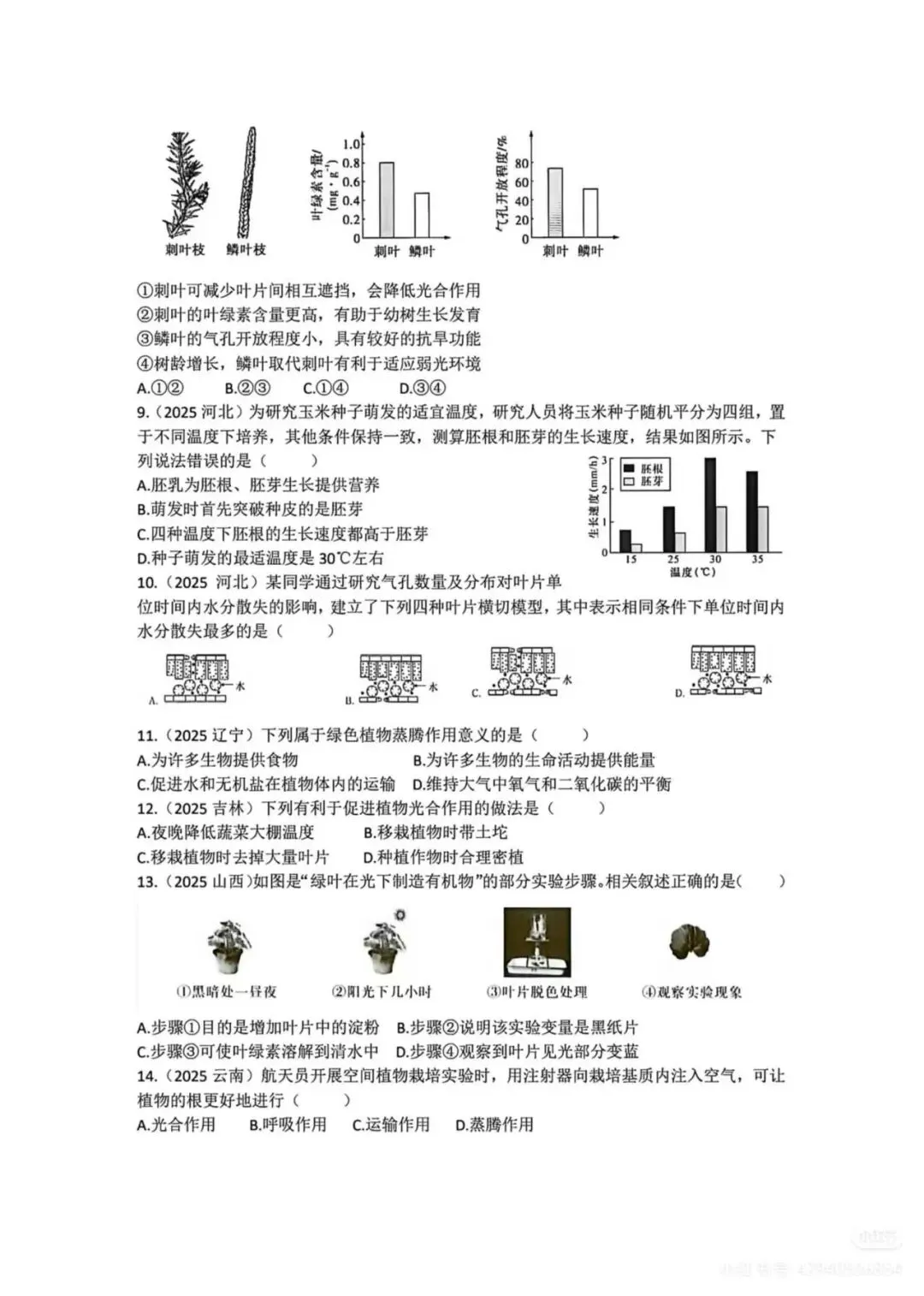 中考复习专题1-植物的生活检测题附答案 第2张