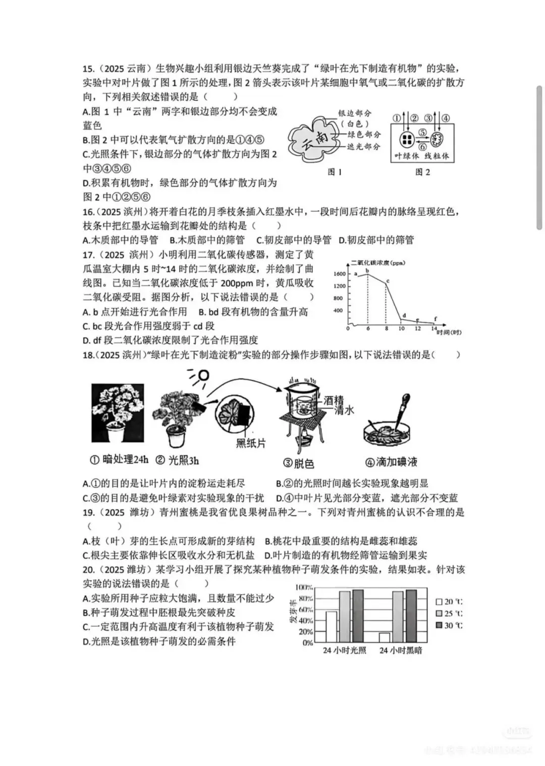 中考复习专题1-植物的生活检测题附答案 第3张