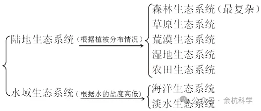 【中考复习】生物专题知识点③:种群、群落、和生态系统及生物圈 第14张 【中考复习】生物专题知识点③:种群、群落、和生态系统及生物圈 第14张