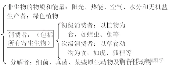 【中考复习】生物专题知识点③:种群、群落、和生态系统及生物圈 第15张 【中考复习】生物专题知识点③:种群、群落、和生态系统及生物圈 第15张