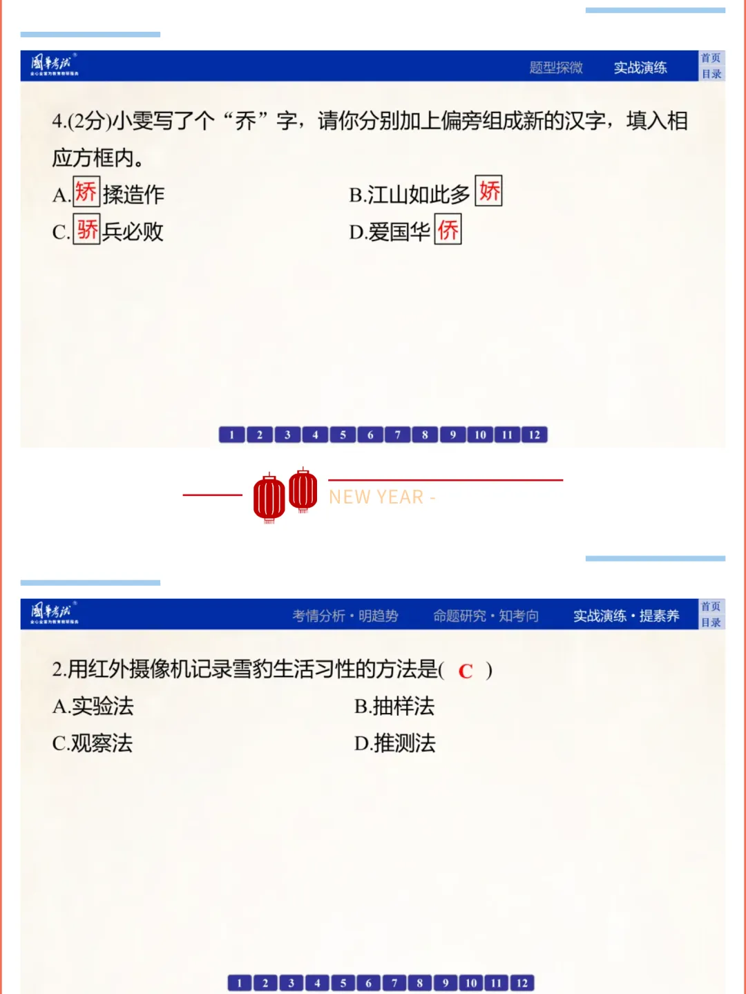 2026湖北版《解密中考• 语文》专题二 探究汉字规律 第13张