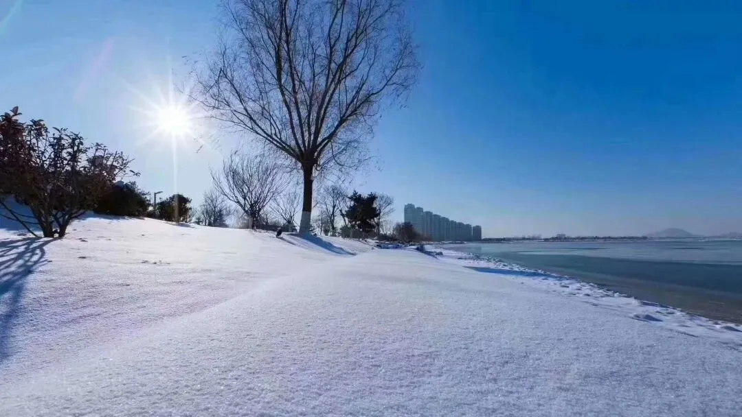 中考作文高分技巧 | 10篇满分作文教会你写题记 第22张 中考作文高分技巧 | 10篇满分作文教会你写题记 第22张