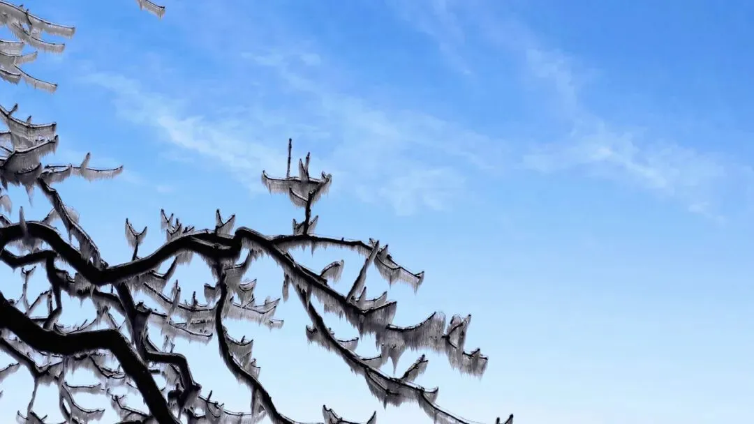 中考作文高分技巧 | 10篇满分作文教会你写题记 第30张 中考作文高分技巧 | 10篇满分作文教会你写题记 第30张