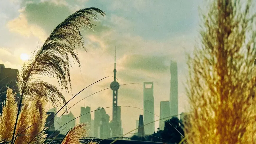 中考作文高分技巧 | 10篇满分作文教会你写题记 第42张 中考作文高分技巧 | 10篇满分作文教会你写题记 第42张