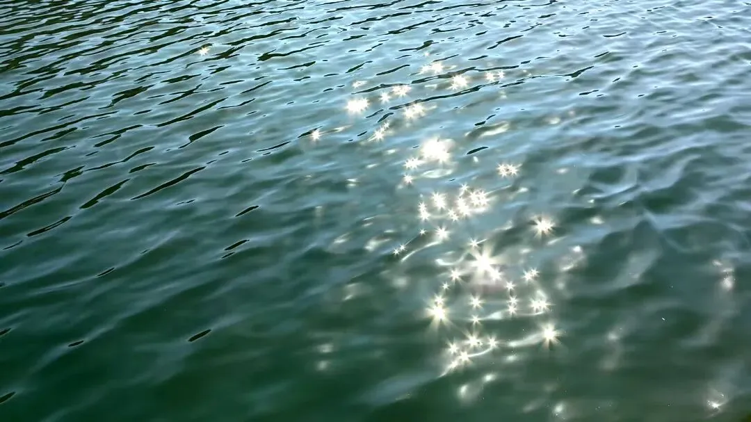 中考作文高分技巧 | 10篇满分作文教会你写题记 第49张 中考作文高分技巧 | 10篇满分作文教会你写题记 第49张