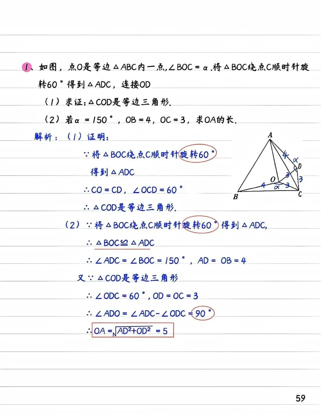中考数学旋转题总丢分?这5大模型让你一眼看出辅助线 第11张