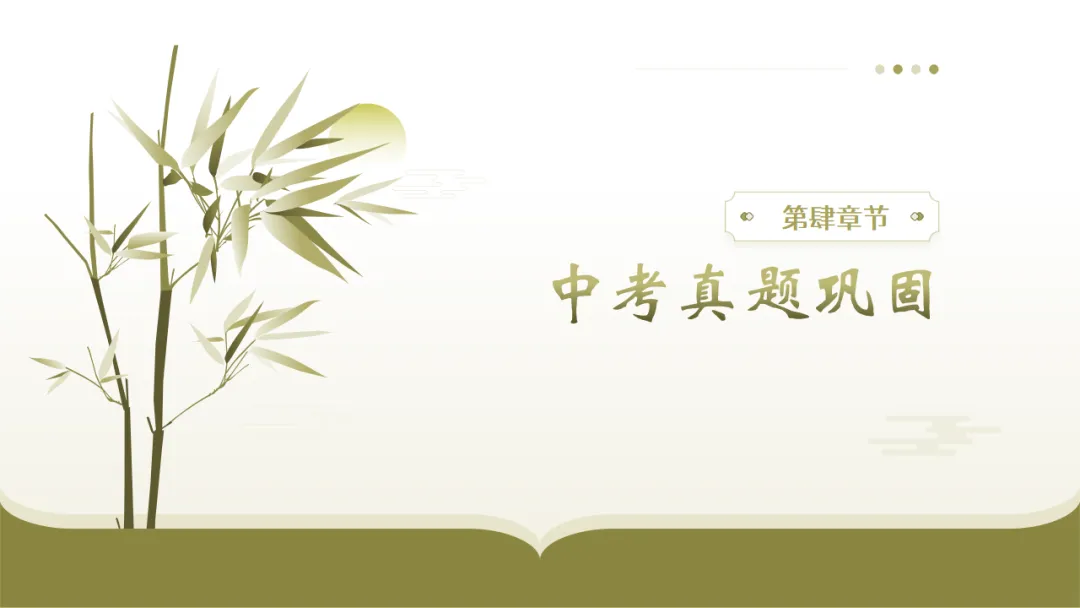 2026年中考文学类作品阅读专题复习:标题和段落的作用ppt 第20张