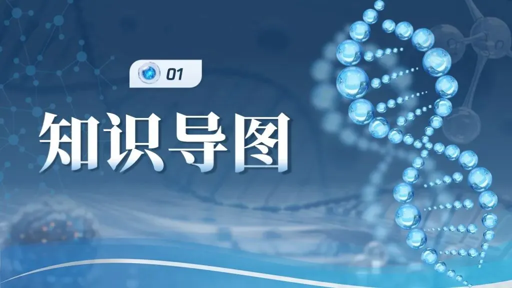 中考化学专题复习 | 专题九《物质的分类构成物质的微粒》课件+配套教学设计 第10张